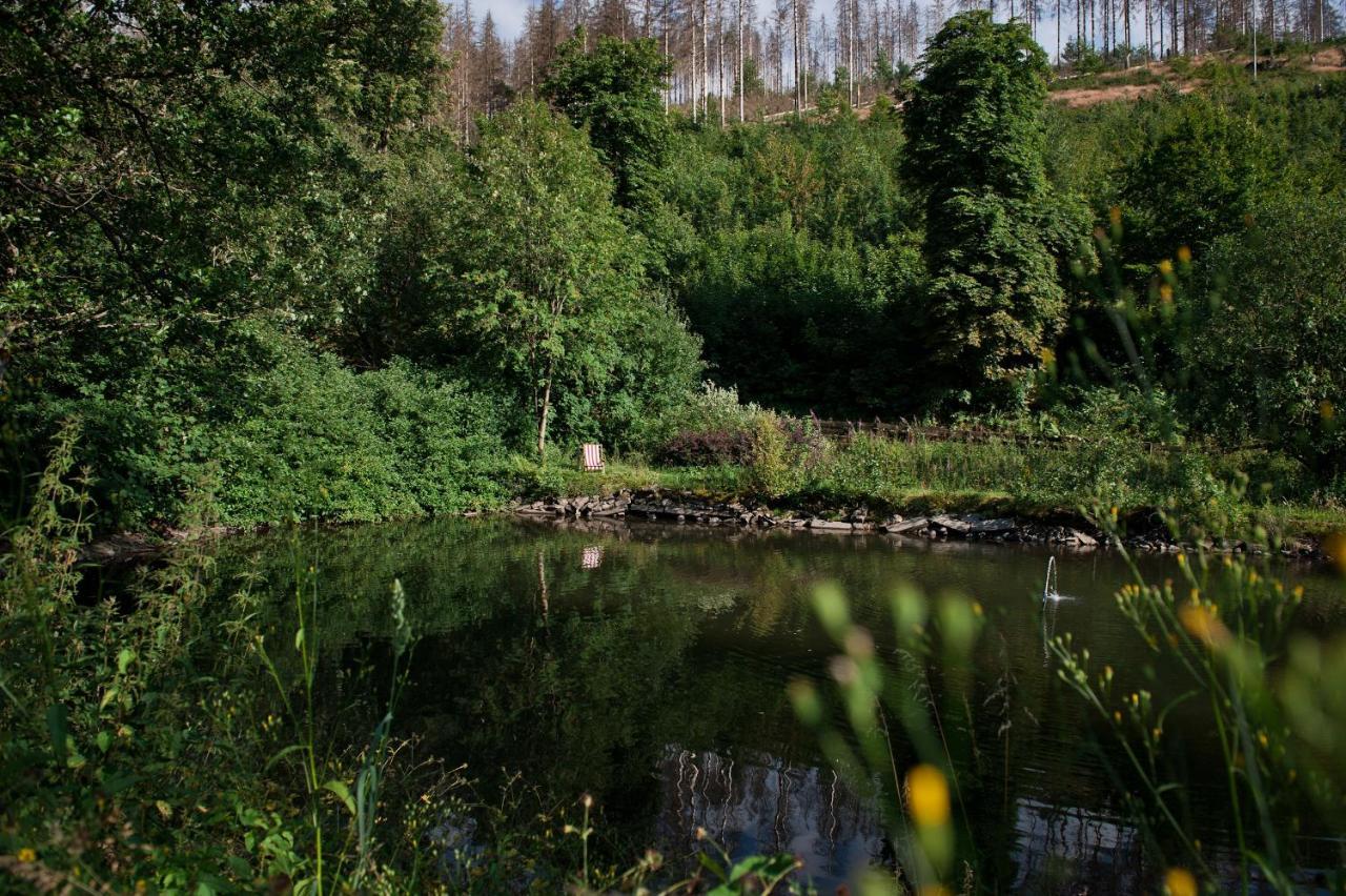 Tiny House Nature 17 - Green Tiny Village Harz Osterode am Harz 외부 사진