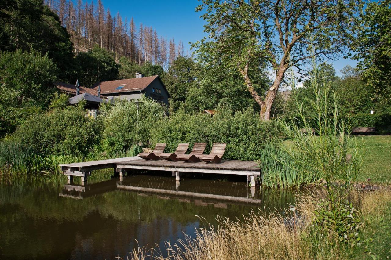 Tiny House Nature 17 - Green Tiny Village Harz Osterode am Harz 외부 사진