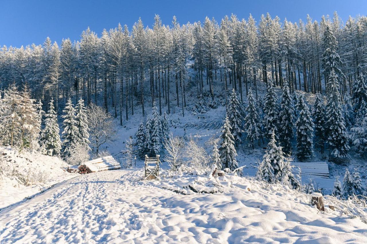 Tiny House Nature 17 - Green Tiny Village Harz Osterode am Harz 외부 사진