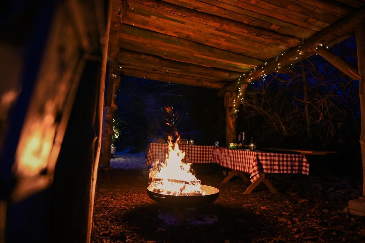 Tiny House Nature 17 - Green Tiny Village Harz Osterode am Harz 외부 사진